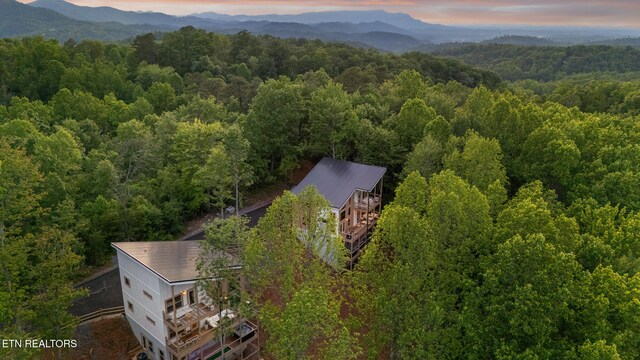 1924 Pine Ct, Sevierville, TN 37876 - photo 51