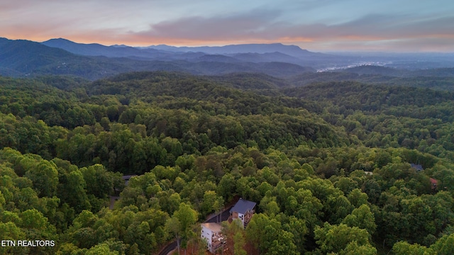 1924 Pine Ct, Sevierville, TN 37876 - photo 56