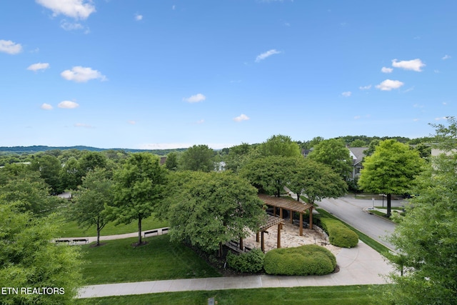 9432 Clingmans Dome Dr, Knoxville, TN 37922 - photo 51