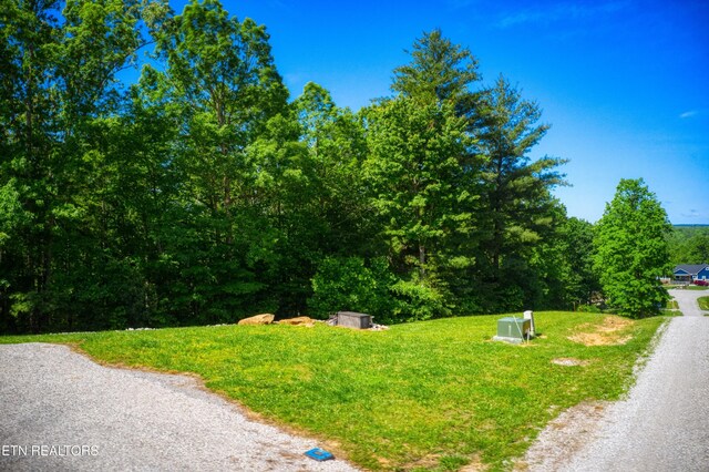 305 Griffin Ln, Allardt, TN 38504 - view of road