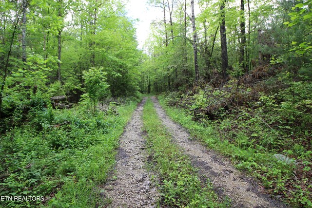 25.24AC Loyd Knox Rd, Grandview, TN 37337 - photo 3