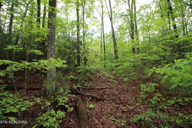 25.24AC Loyd Knox Rd, Grandview, TN 37337 - photo 8