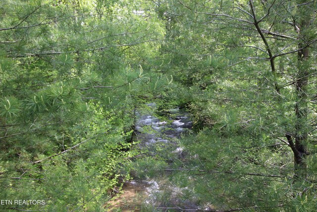 25.24AC Loyd Knox Rd, Grandview, TN 37337 - photo 5