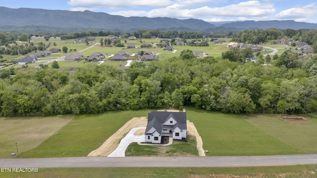 aerial view of mountains