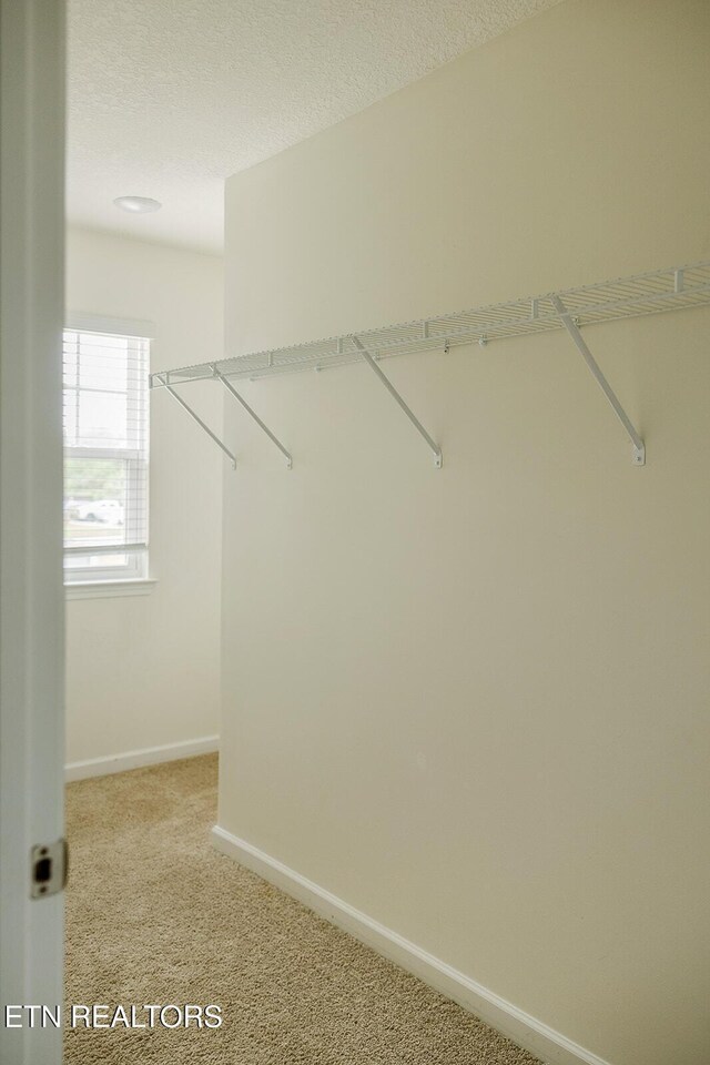 6 Lilac Ct, Clinton, TN 37716 - photo 20