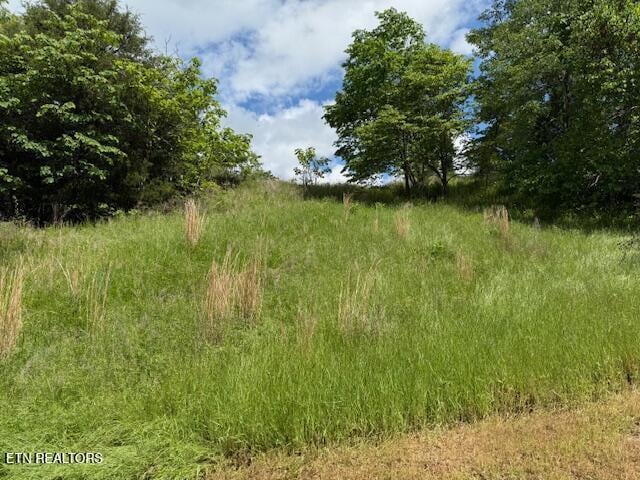 Putters Peak, Tazewell, TN 37879 - photo 1