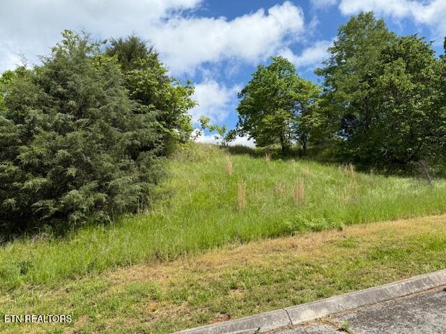 Putters Peak, Tazewell, TN 37879 - photo 3