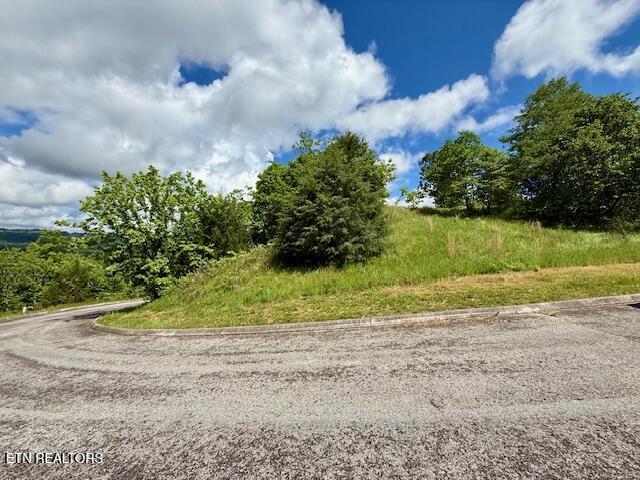 Putters Peak, Tazewell, TN 37879 - photo 4