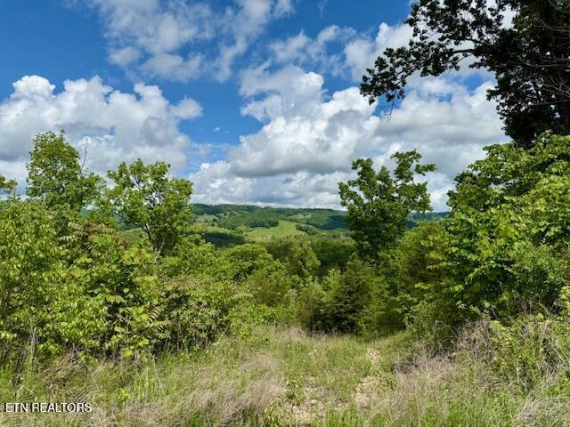 Putters Peak, Tazewell, TN 37879 - photo 5