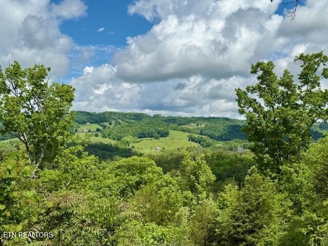 Putters Peak, Tazewell, TN 37879 - photo 6