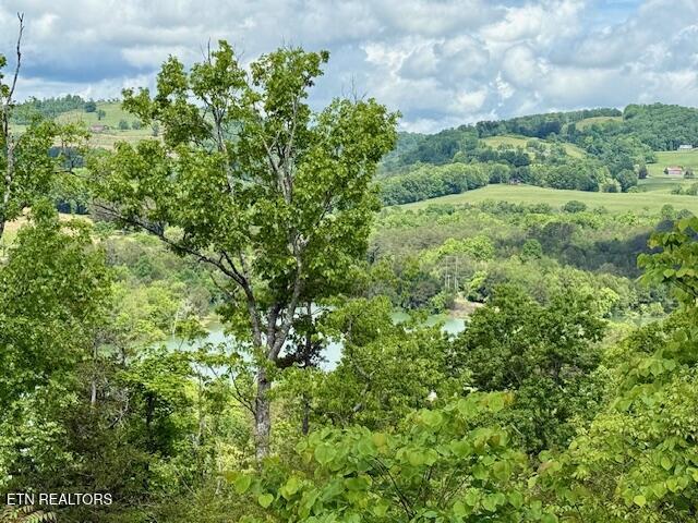 Putters Peak, Tazewell, TN 37879 - photo 7