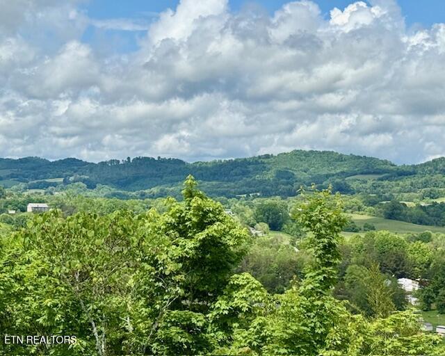 Putters Peak, Tazewell, TN 37879 - photo 8