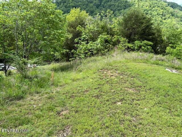 Putters Peak, Tazewell, TN 37879 - photo 9