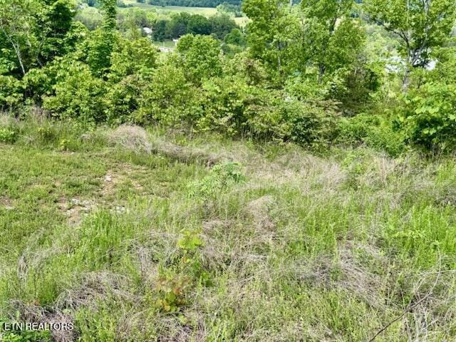 Putters Peak, Tazewell, TN 37879 - photo 10