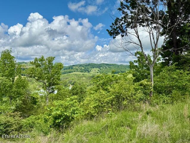 Putters Peak, Tazewell, TN 37879 - photo 11