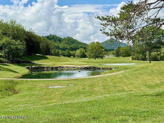 Putters Peak, Tazewell, TN 37879 - photo 12