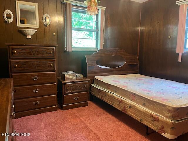 1634 Snodderly Dr, Lenoir City, TN 37771 - view of carpeted bedroom
