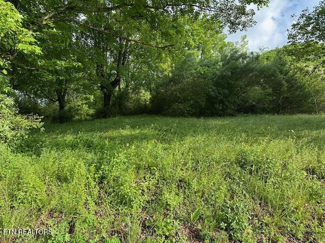1101 Fowler Grove Rd, Newport, TN 37821
