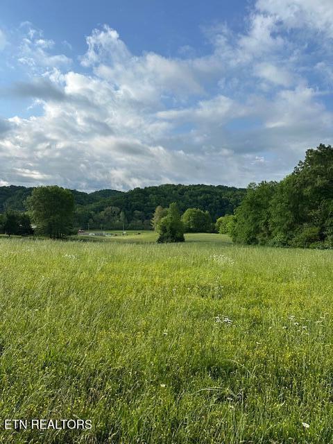 1101 Fowler Grove Rd, Newport, TN 37821