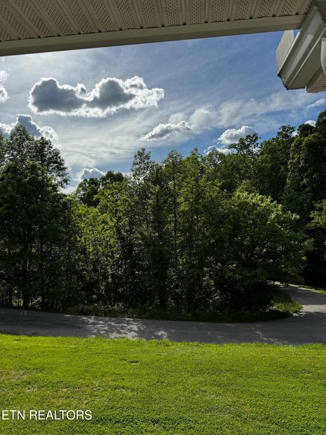 900 Twin Fawn Trl, Middlesboro, KY 40965 - view of grassy yard