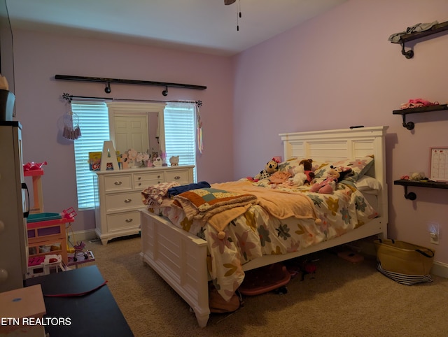 900 Twin Fawn Trl, Middlesboro, KY 40965 - view of carpeted bedroom