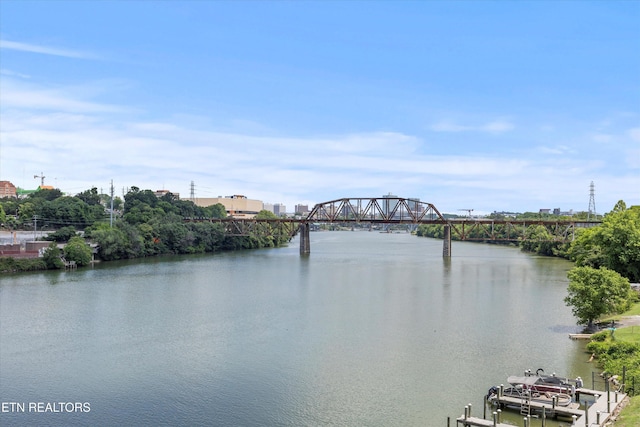 3001 River Towne Way, Knoxville, TN 37920 - photo 29