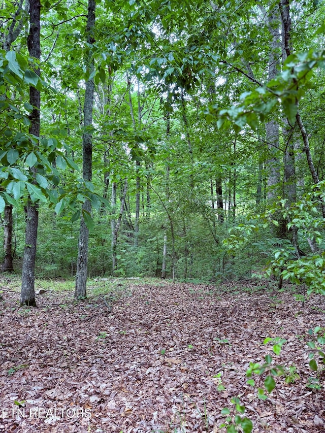 312 Holderford Rd, Kingston, TN 37763 - photo 8