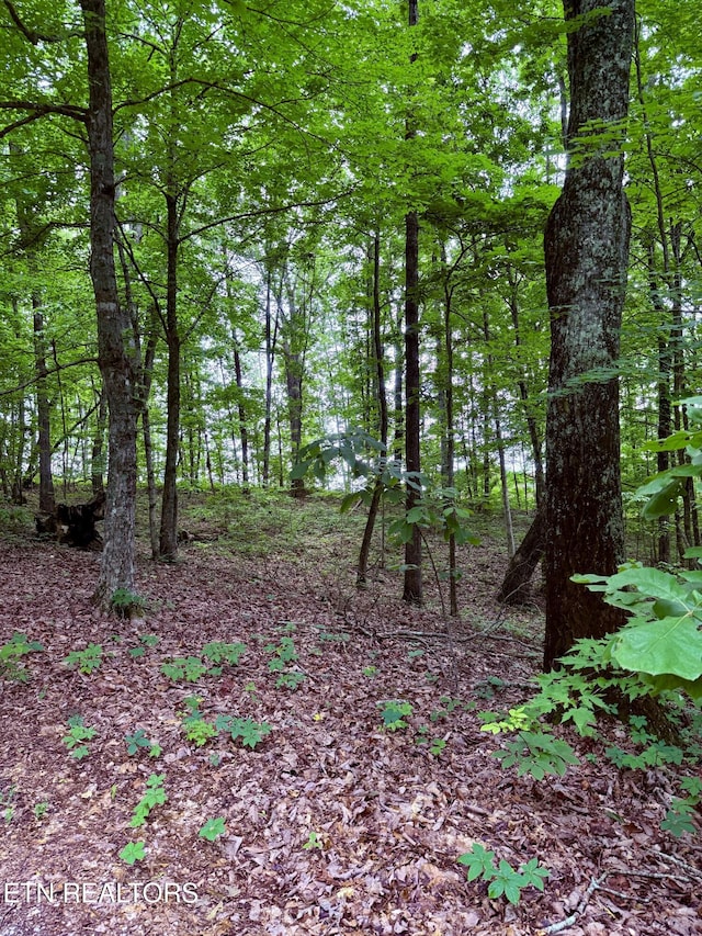 312 Holderford Rd, Kingston, TN 37763 - photo 11
