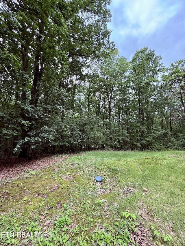 312 Holderford Rd, Kingston, TN 37763 - photo 10