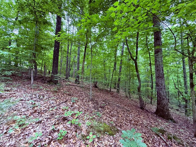 312 Holderford Rd, Kingston, TN 37763 - photo 9