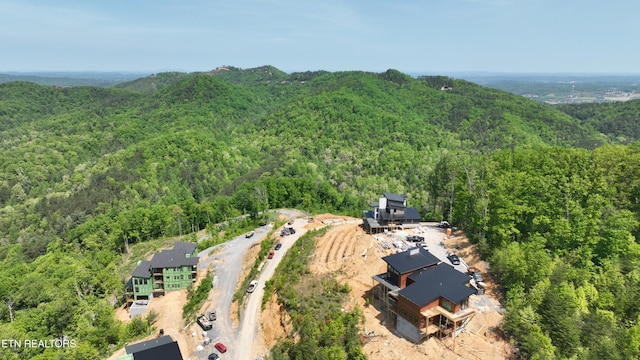drone / aerial view of a forest