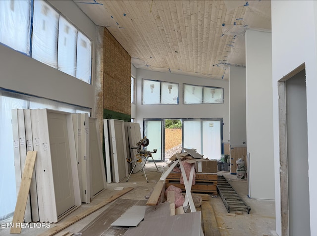 miscellaneous room featuring a high ceiling