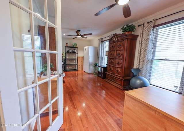 112 Chestnut Hill Rd, Oak Ridge, TN 37830 - office area featuring ceiling fan and light wood-type flooring