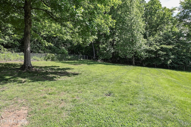 112 Chestnut Hill Rd, Oak Ridge, TN 37830 - view of yard