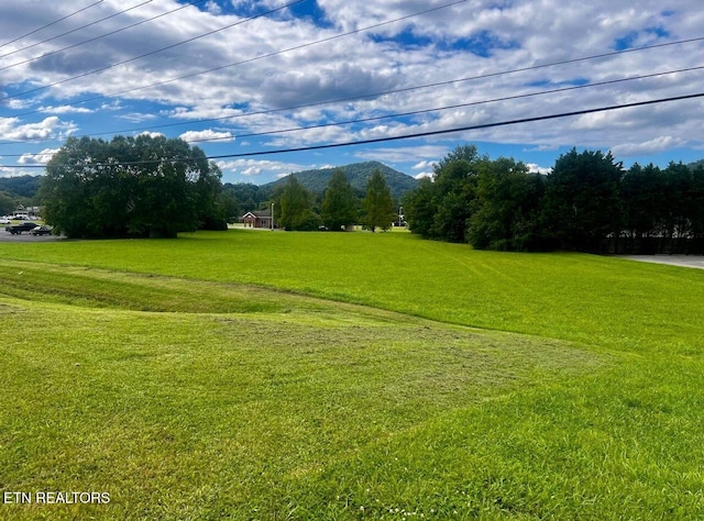 8017 E Lamar Alexander Pkwy, Townsend, TN 37882