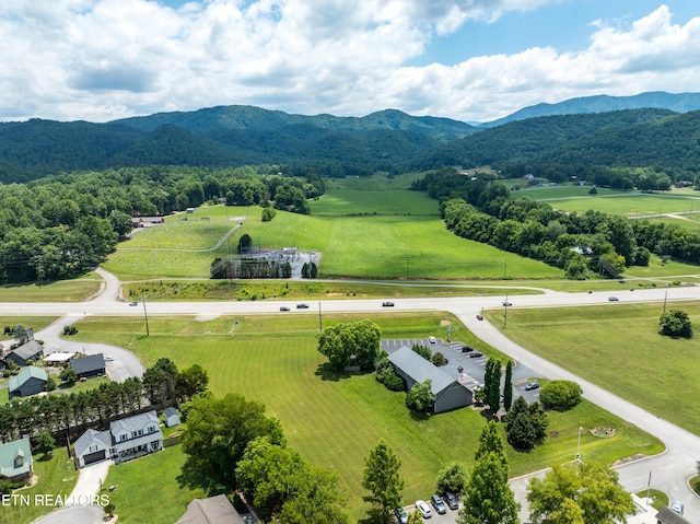 8017 E Lamar Alexander Pkwy, Townsend, TN 37882