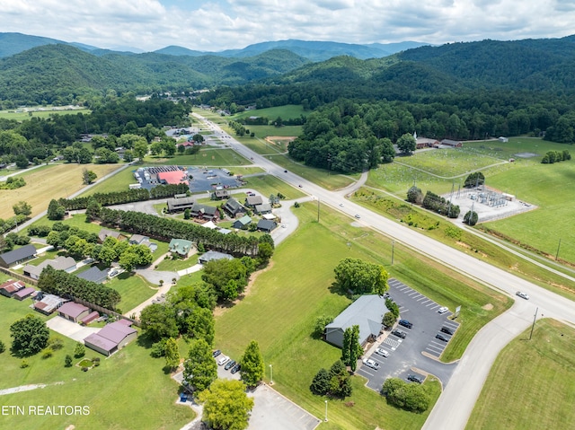 8017 E Lamar Alexander Pkwy, Townsend, TN 37882