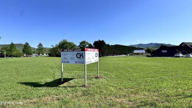 8017 E Lamar Alexander Pkwy, Townsend, TN 37882