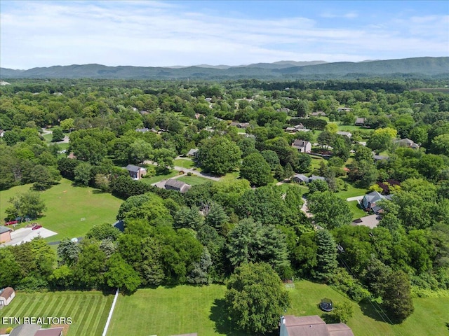 aerial view of a mountain backdrop