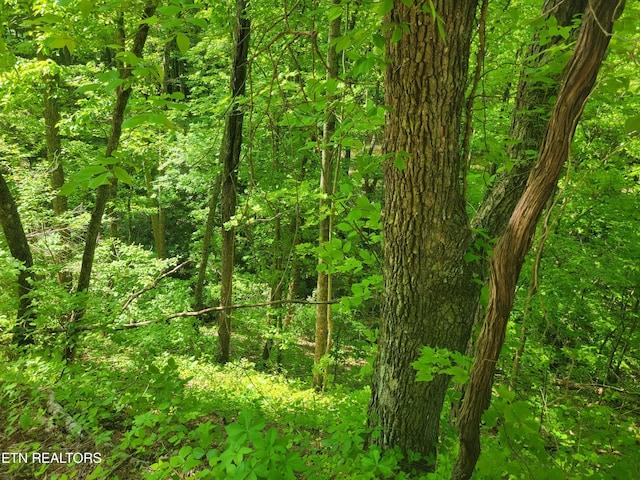 LOT8 John Sevier Dr, Sevierville, TN 37876 - photo 2