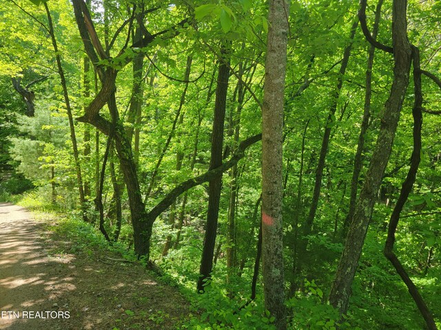 LOT8 John Sevier Dr, Sevierville, TN 37876 - photo 3