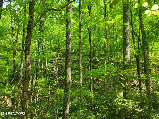 LOT8 John Sevier Dr, Sevierville, TN 37876 - photo 4