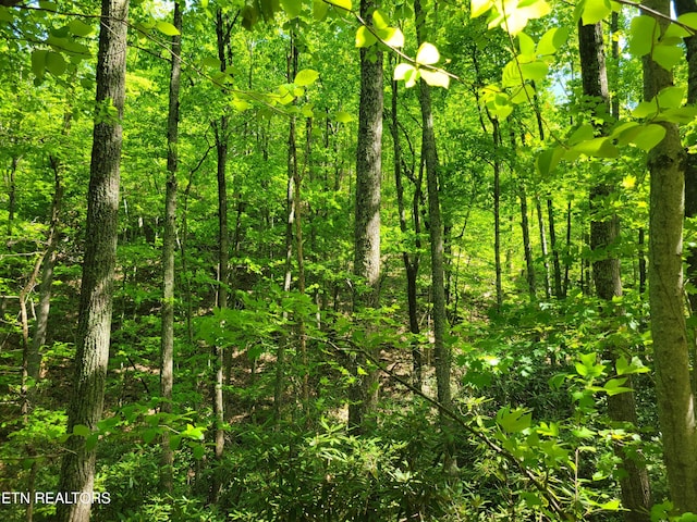 LOT8 John Sevier Dr, Sevierville, TN 37876 - photo 1