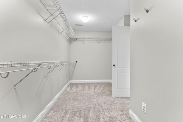 12888 Lily Pond Ln, Knoxville, TN 37922 - walk in closet with carpet floors