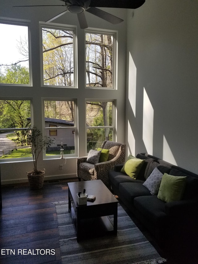 667 Turkey Nest Rd, Gatlinburg, TN 37738 - view of sunroom