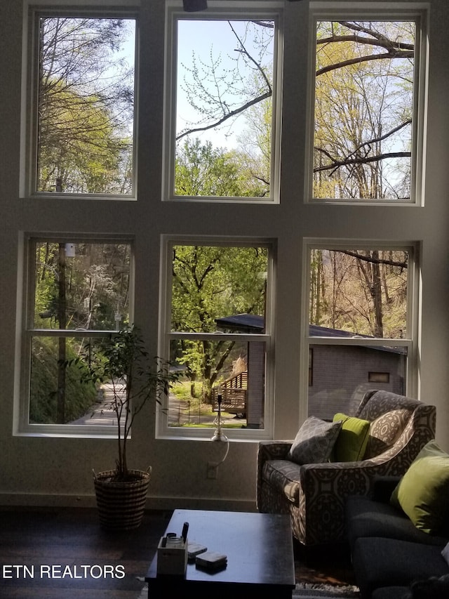 667 Turkey Nest Rd, Gatlinburg, TN 37738 - entryway featuring plenty of natural light and a high ceiling