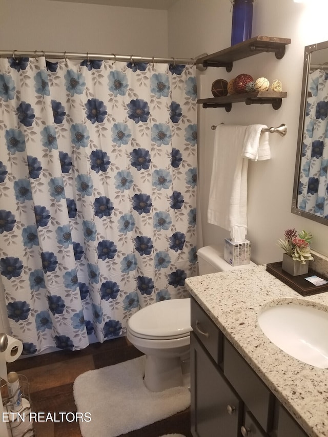 667 Turkey Nest Rd, Gatlinburg, TN 37738 - full bath with toilet, vanity, and curtained shower