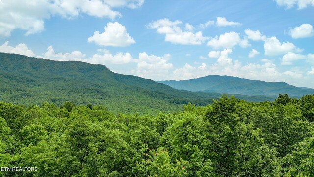 529 Deer Path Ln, Gatlinburg, TN 37738 - mountain view with a forest
