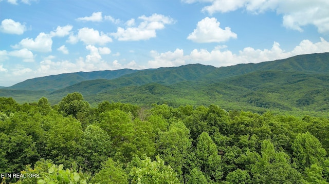 529 Deer Path Ln, Gatlinburg, TN 37738 - view of mountain backdrop featuring a forest
