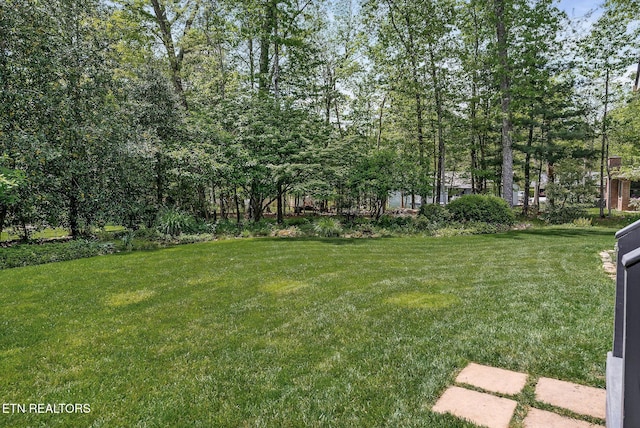 157 Garfield Ct, Crossville, TN 38558 - view of grassy yard